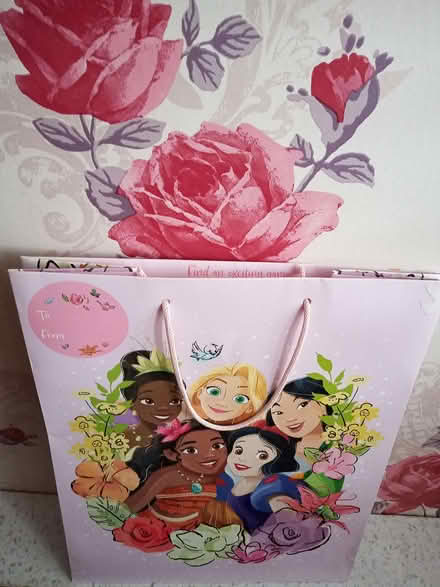 Photo of free New Disney Princess Gift Bag (West Drayton UB7) #1