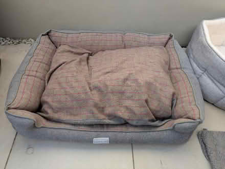 Photo of free Large dog beds (Grove Park SE9) #1