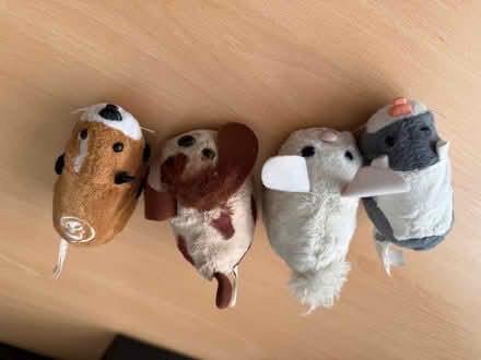 Photo of free Zhu zhu pets and FurReal toys (Marshalswick AL1) #1