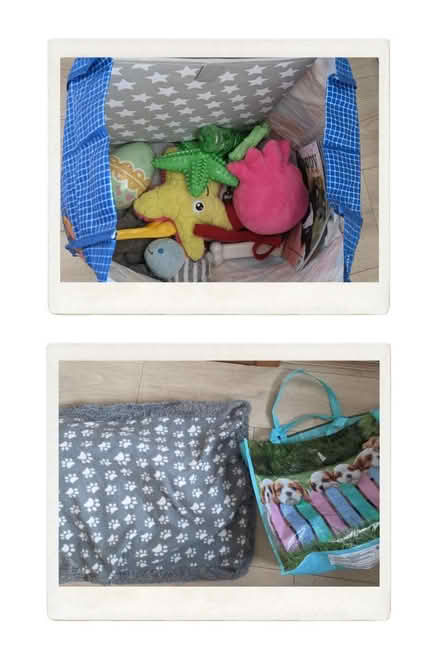 Photo of free Puppy / small dog bundle (EH5, Granton, Edinburgh) #1