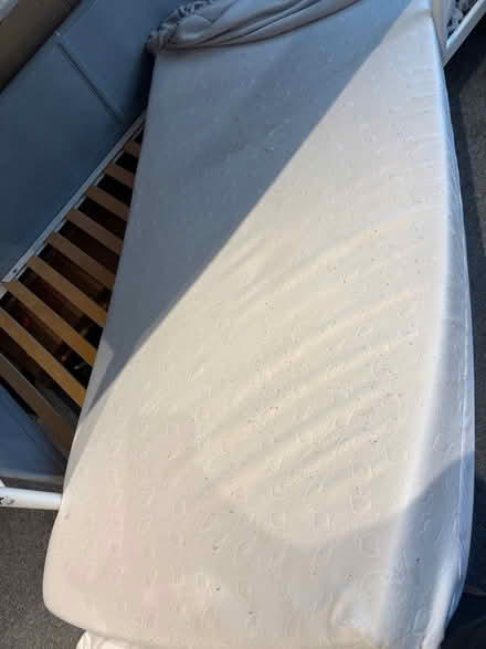 Photo of free Single bed size mattress (St Leonards on sea TN38) #1