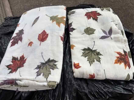 Photo of free Sheets (Close to Woburn YMCA) #1