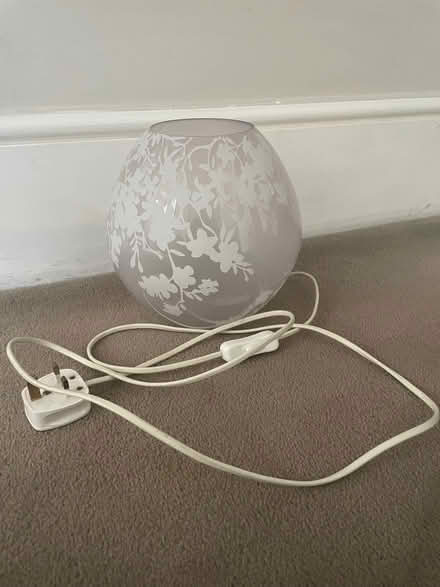 Photo of free Floral lamp (Maida Vale W9) #2