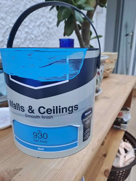 Photo of free Blue paint (Paignton TQ3) #1