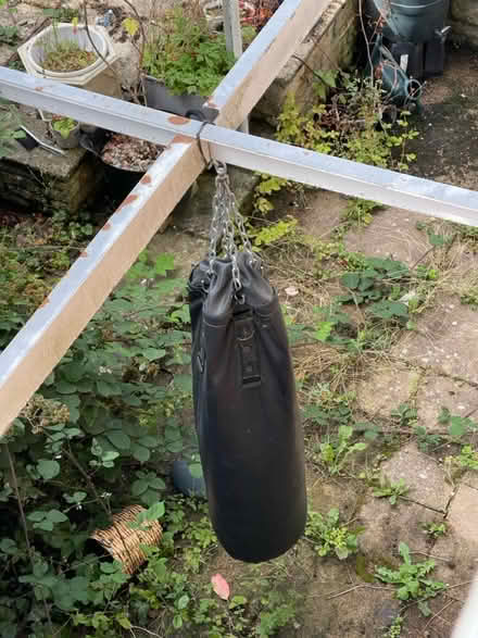 Photo of free Boxing back (Oxford) #1