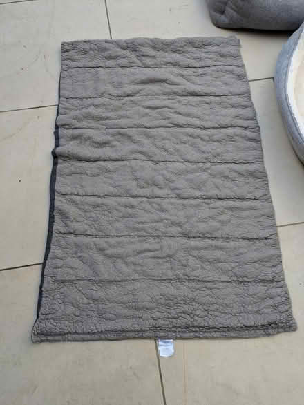 Photo of free Large dog beds (Grove Park SE9) #3