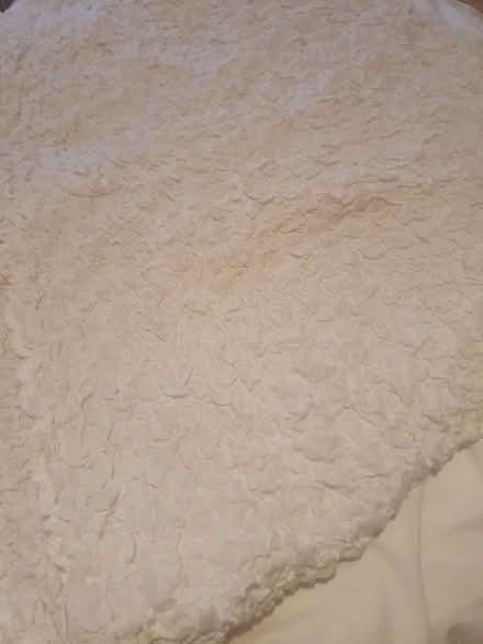 Photo of free White ikea Bedspread (Lauriston EH3) #1