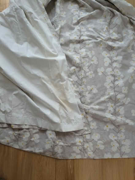 Photo of free Curtains (Harringay Ladder N8) #3