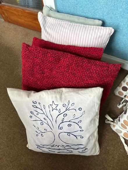 Photo of free Various throw cushions (Bloxham OX15) #2