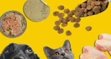 Photo of Food for Cats & Dogs (Downey, CA) #1