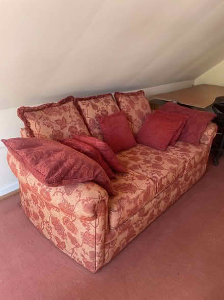 Photo of free 3 seater sofa bed (Boreham Street BN27) #1