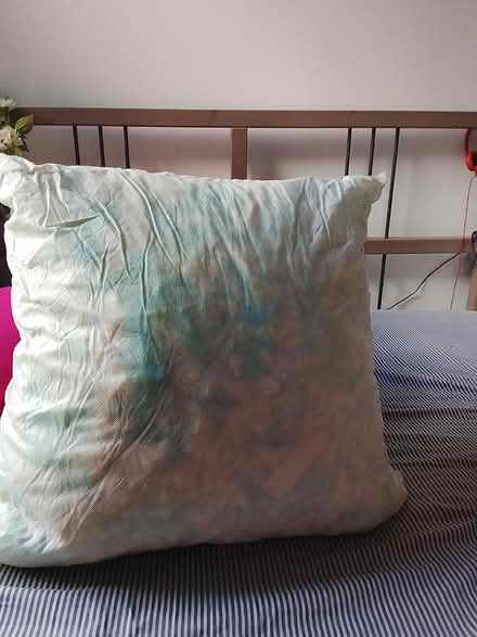 Photo of free Beautiful cushion (like new) (Plumstead high street) #1