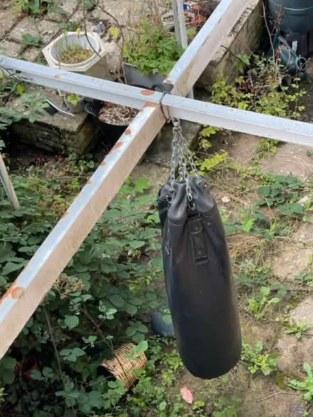 Photo of free Boxing back (Oxford) #2