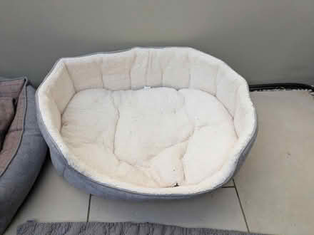 Photo of free Large dog beds (Grove Park SE9) #2