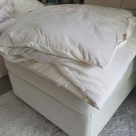 Photo of free Single duvet 12 Tog (Snodland ME6) #1