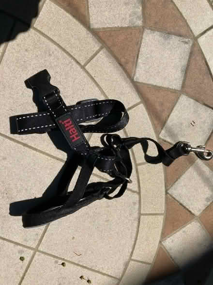 Photo of free Haltie (High Knightswood G61) #1