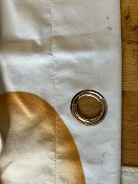 Photo of free Floor length curtains (Lindfield) #4