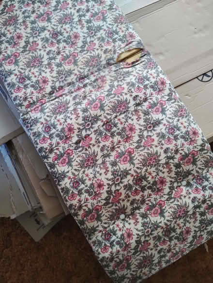 Photo of free Chair cushions for sun lounger or recliner chair (Edginswell TQ2) #2