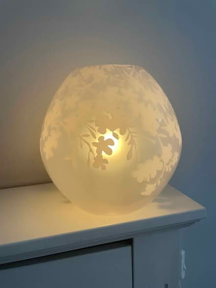 Photo of free Floral lamp (Maida Vale W9) #1