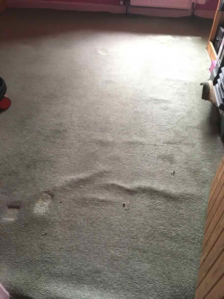 Photo of free Old carpet (Scotton HG5) #2