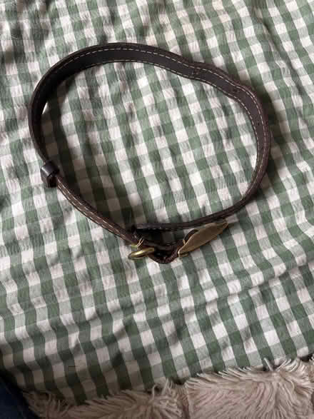 Photo of free Barbour dog collar (Chesterfield S40) #1
