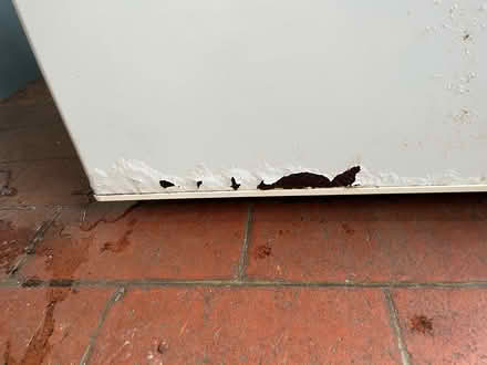 Photo of free Freezer (Gu50ay) #2