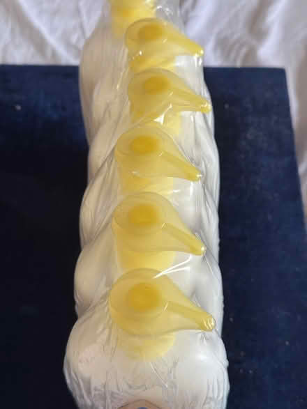 Photo of free 6 x 500 ml Johnson’s baby wash (Denvilles Havant PO9) #3