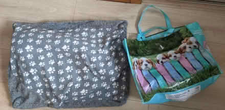 Photo of free Puppy / small dog bundle (EH5, Granton, Edinburgh) #2