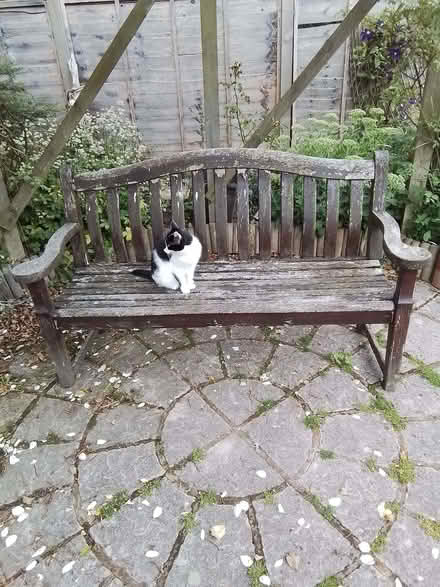 Photo of free Garden bench (Selattyn SY10) #1