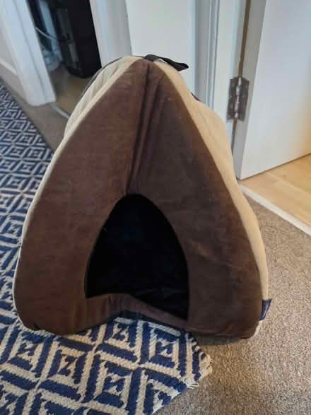 Photo of free Little cat pyramid (Mitcham) #1