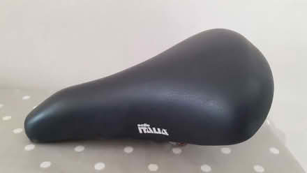 Photo of free Bicycle Saddle (Horsham Sx near station) #1