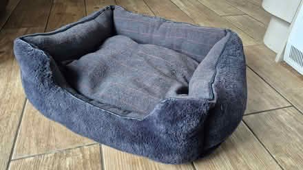 Photo of free Small Dog bed (High Green S35) #1