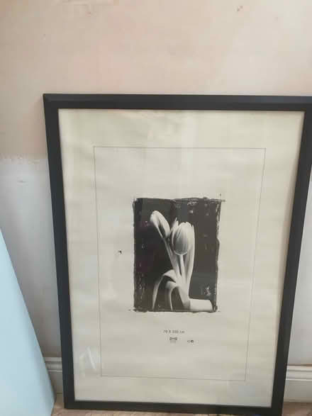 Photo of free IKEA Picture frame 70x100 (Epsom KT18) #1