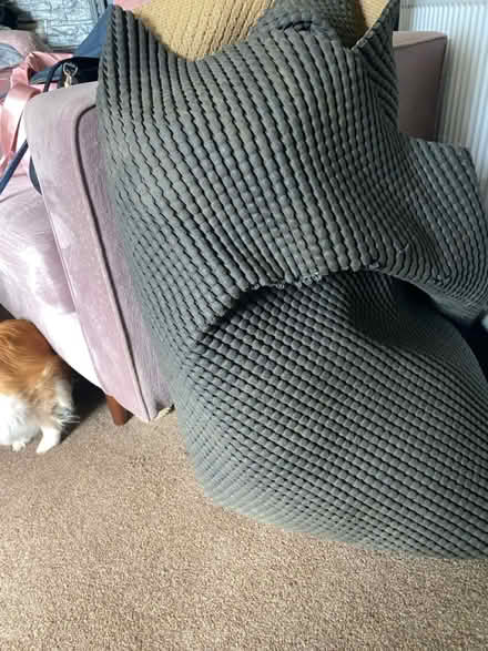 Photo of free Underlay - prob enough for boxroom (Wardley, Gateshead, NE10) #1