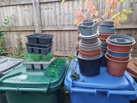 Photo of free Various sizes plant pots (Chorley PR7) #1
