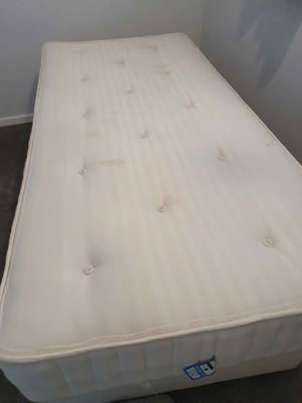 Photo of free Single divan bed (Welwyn garden city) #1