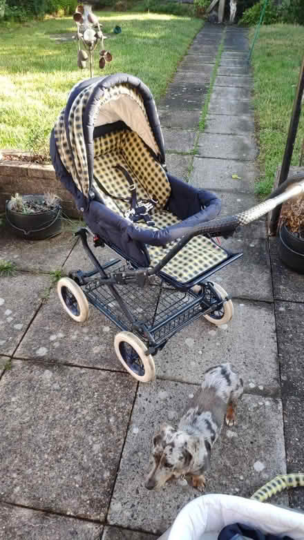 Photo of free classic pram/pushchair (Kings Heath B14) #2