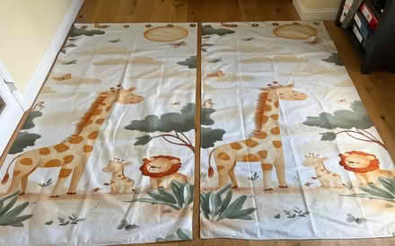 Photo of free Floor length curtains (Lindfield) #1