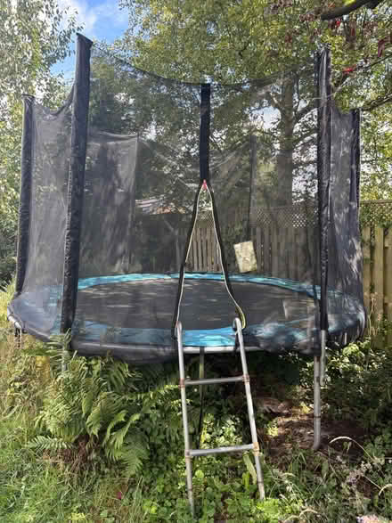 Photo of free Net and bumper (only) from 10ft tramopline (Broomhill S10) #1