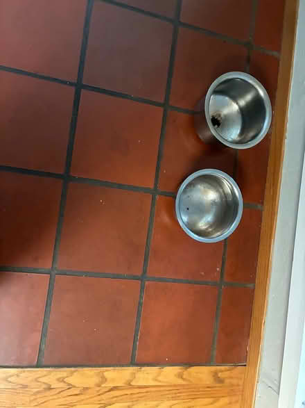 Photo of free Stainless steel dishes (South Palo Alto) #1