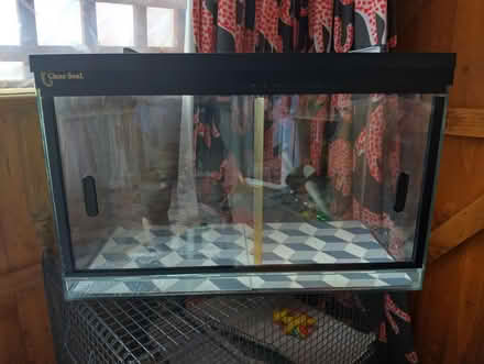 Photo of free Glass vivarium (Lanesfield WV4) #1