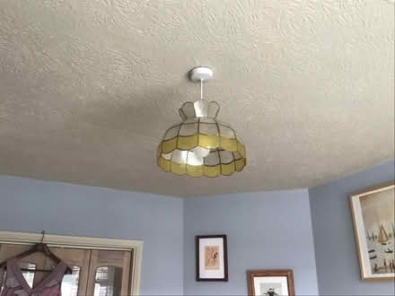 Photo of free Tortoise shell pendant ceiling light shades (Tolworth KT5) #1