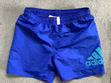 Photo of free 13-14 yr swim shorts (West Hitchin SG5) #1