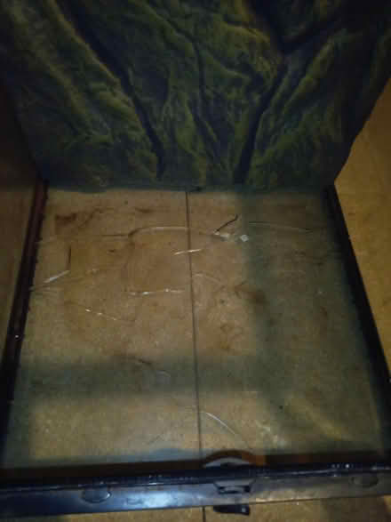 Photo of free Reptile cabinet\tank (Llandyrnog) #2
