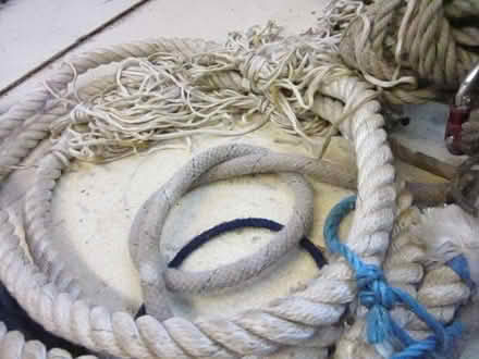 Photo of free large pile of rope (Morton NR9) #3