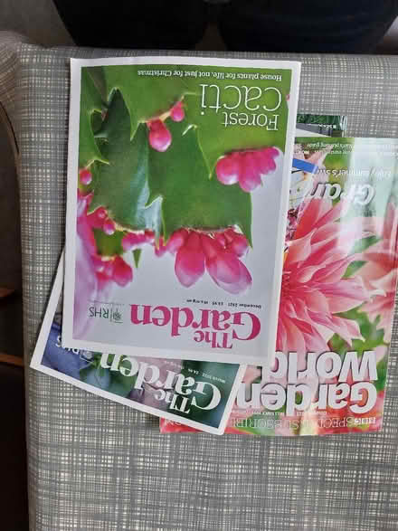 Photo of free Various magazines for reading or art projects (Ladywell SE4) #1