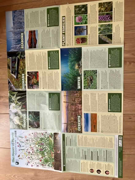 Photo of free Large educational poster (Popley RG24) #2