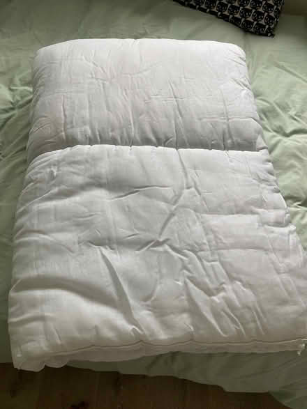 Photo of free Single duvet 13 tog (Loughton IG10) #3