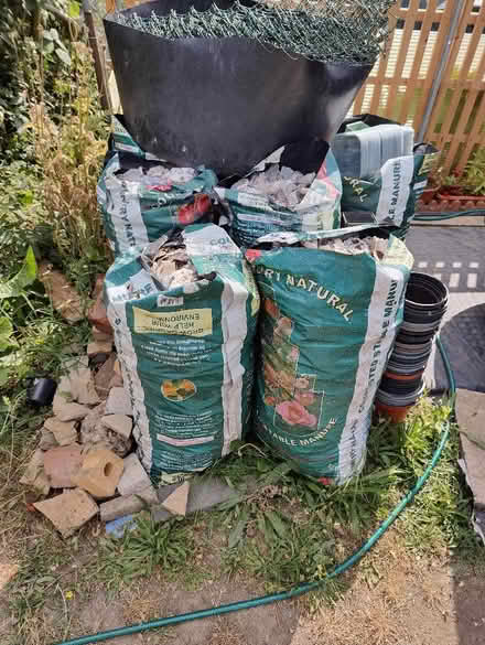 Photo of free Clean oyster shells (Mortlake W4) #4