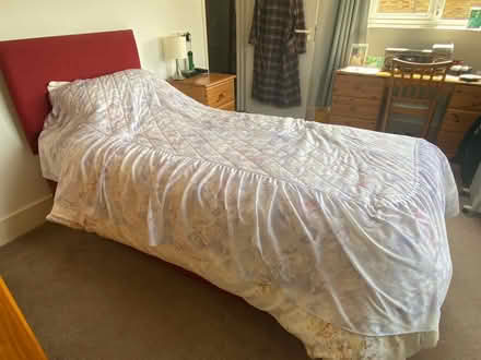 Photo of free Single divan bed (LU7 Marley Fields) #1